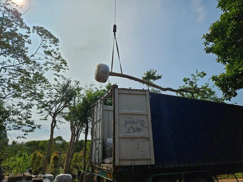 Export operations
