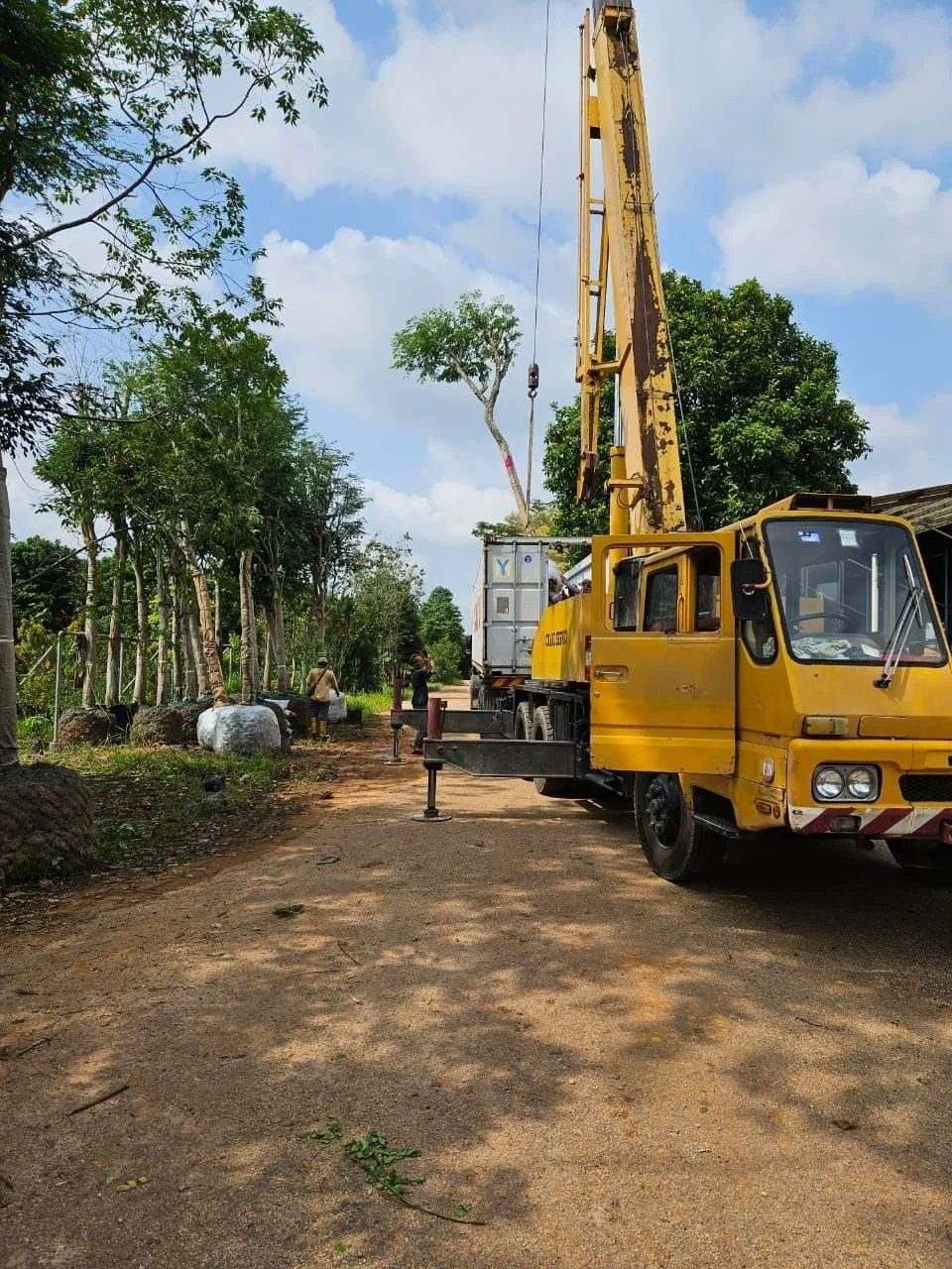 Yi Li Nursery operations